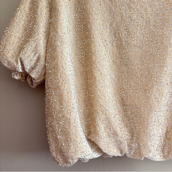 Zara Cream Sequin Beaded Velvet Bubble Cropped Blouse - Picture 8 of 16